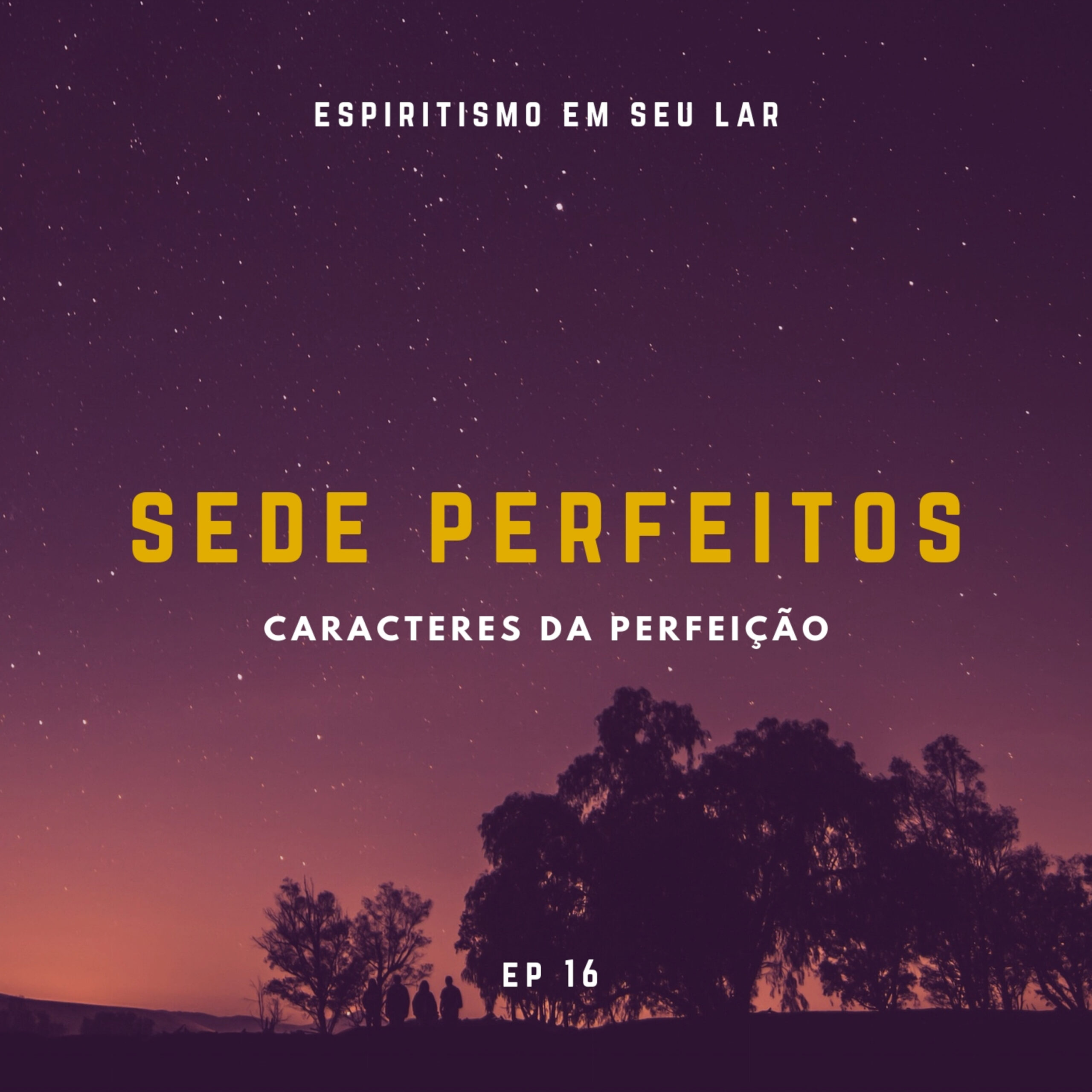 #16 – Sede Perfeitos, Características da Perfeição