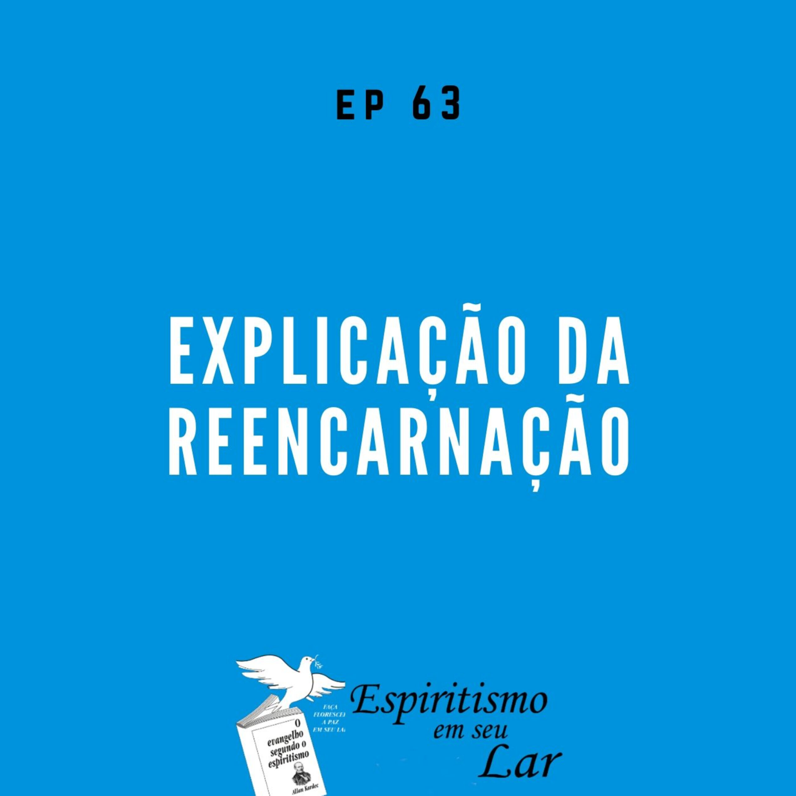 #63 – Explicação da Reencarnação